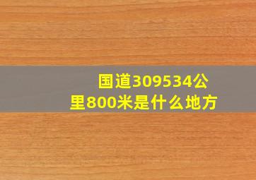 国道309534公里800米是什么地方