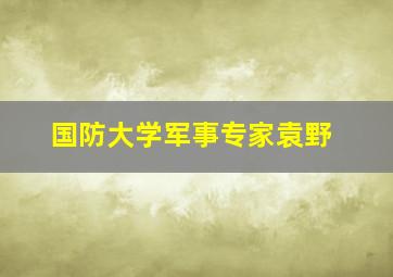 国防大学军事专家袁野