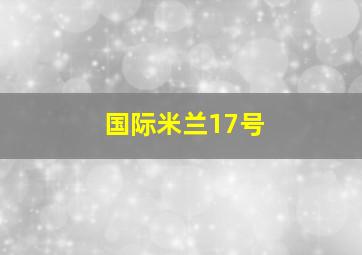 国际米兰17号