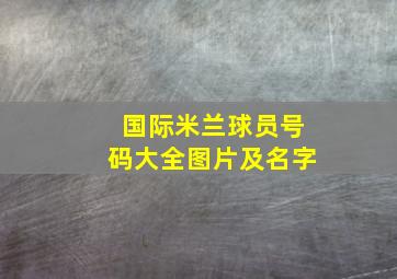 国际米兰球员号码大全图片及名字