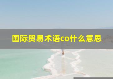 国际贸易术语co什么意思