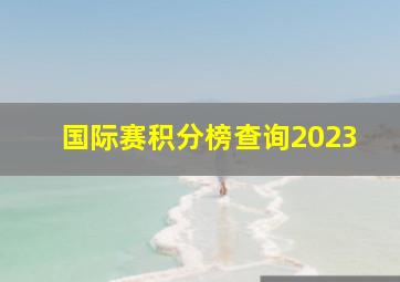 国际赛积分榜查询2023