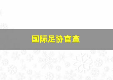 国际足协官宣