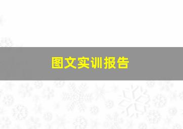 图文实训报告