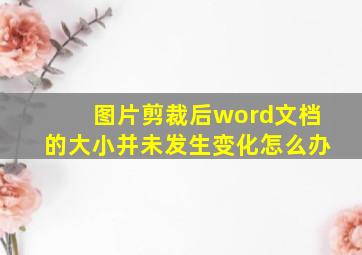 图片剪裁后word文档的大小并未发生变化怎么办