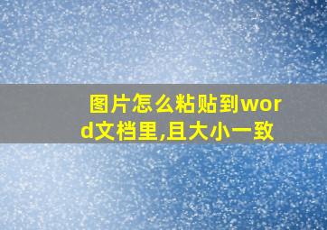 图片怎么粘贴到word文档里,且大小一致