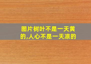 图片树叶不是一天黄的,人心不是一天凉的