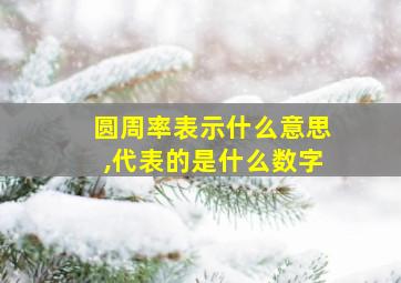 圆周率表示什么意思,代表的是什么数字