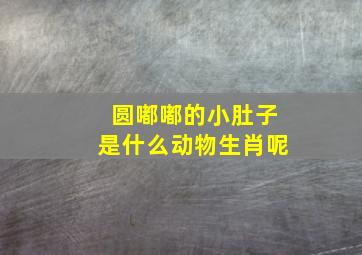 圆嘟嘟的小肚子是什么动物生肖呢