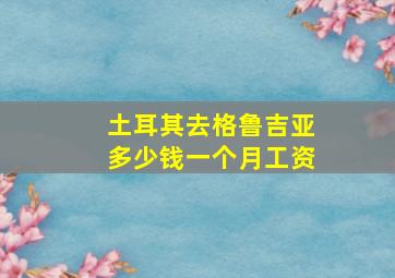 土耳其去格鲁吉亚多少钱一个月工资