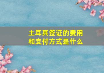 土耳其签证的费用和支付方式是什么