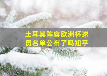 土耳其阵容欧洲杯球员名单公布了吗知乎