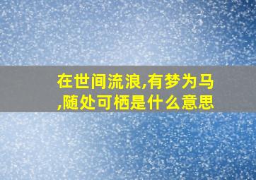 在世间流浪,有梦为马,随处可栖是什么意思