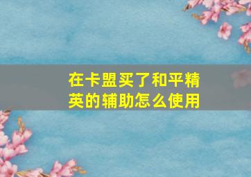 在卡盟买了和平精英的辅助怎么使用