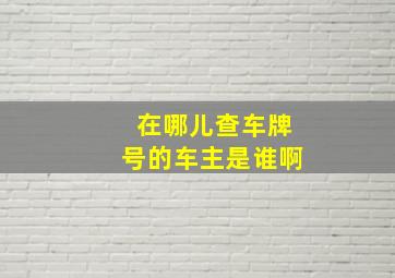 在哪儿查车牌号的车主是谁啊