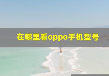 在哪里看oppo手机型号