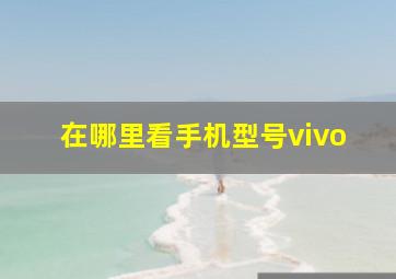 在哪里看手机型号vivo