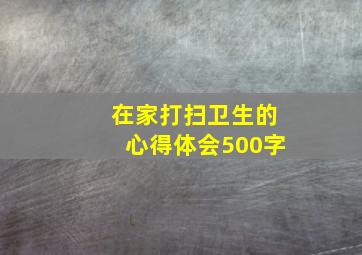 在家打扫卫生的心得体会500字