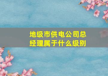 地级市供电公司总经理属于什么级别