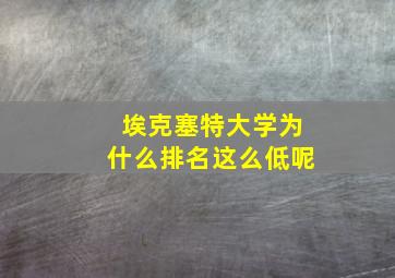 埃克塞特大学为什么排名这么低呢