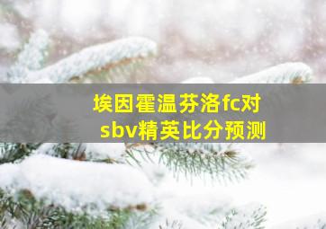 埃因霍温芬洛fc对sbv精英比分预测