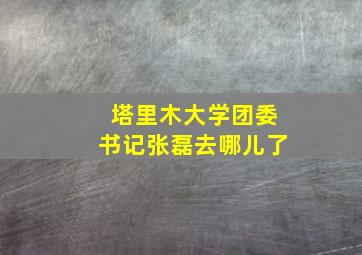 塔里木大学团委书记张磊去哪儿了