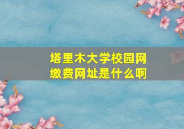 塔里木大学校园网缴费网址是什么啊