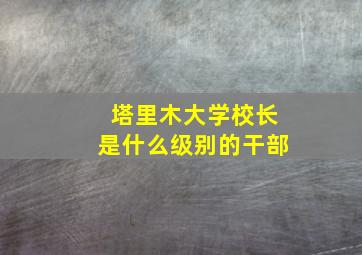 塔里木大学校长是什么级别的干部