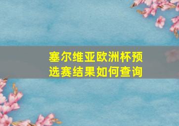 塞尔维亚欧洲杯预选赛结果如何查询