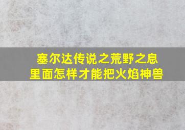 塞尔达传说之荒野之息里面怎样才能把火焰神兽