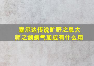 塞尔达传说旷野之息大师之剑剑气加成有什么用