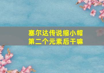 塞尔达传说缩小帽第二个元素后干嘛