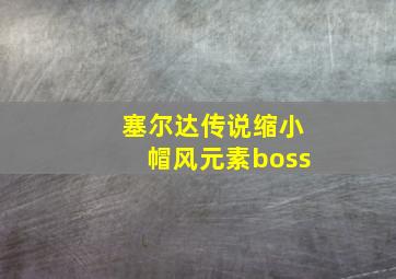 塞尔达传说缩小帽风元素boss