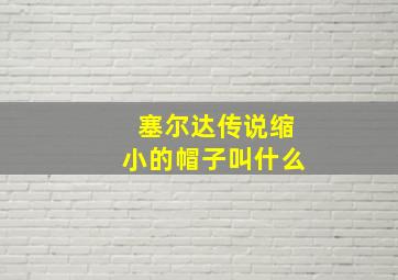 塞尔达传说缩小的帽子叫什么