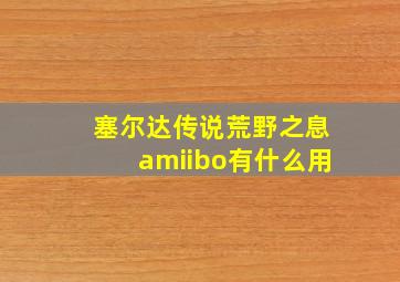 塞尔达传说荒野之息amiibo有什么用