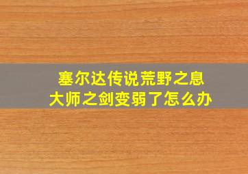 塞尔达传说荒野之息大师之剑变弱了怎么办