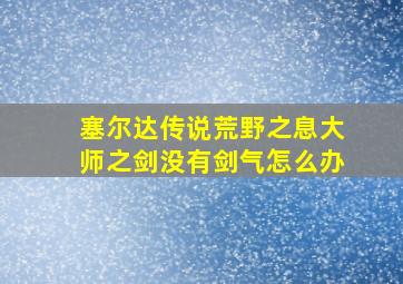 塞尔达传说荒野之息大师之剑没有剑气怎么办