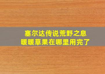 塞尔达传说荒野之息暖暖草果在哪里用完了