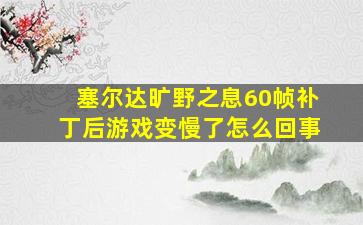 塞尔达旷野之息60帧补丁后游戏变慢了怎么回事