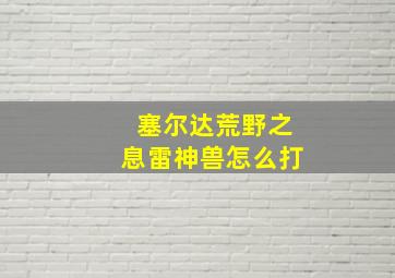 塞尔达荒野之息雷神兽怎么打