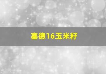 塞德16玉米籽