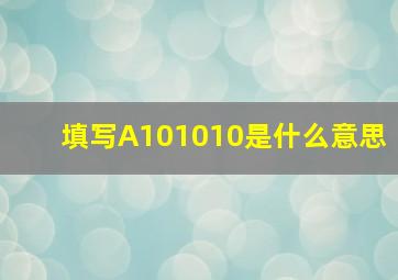 填写A101010是什么意思