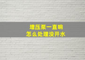 增压泵一直响怎么处理没开水