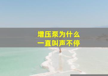 增压泵为什么一直叫声不停