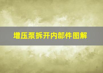 增压泵拆开内部件图解