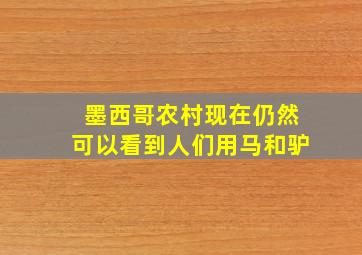 墨西哥农村现在仍然可以看到人们用马和驴