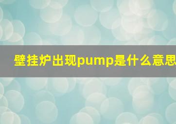 壁挂炉出现pump是什么意思