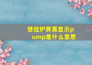 壁挂炉屏幕显示pump是什么意思