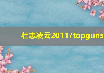 壮志凌云2011/topguns