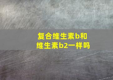 复合维生素b和维生素b2一样吗